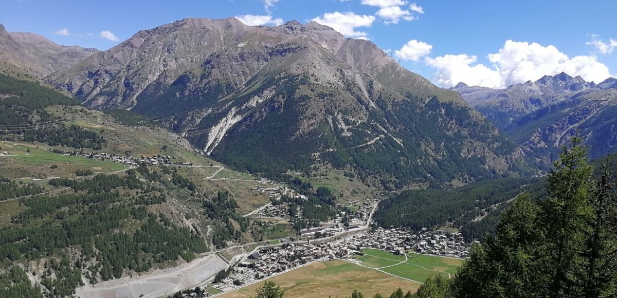 Summer view of Cogne and the Sant'Orso meadow
